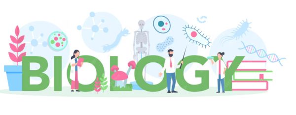 آموزش خصوصی زیست کنکور برای افزایش درصد و رتبه بهتر کلاس زیستشناسی کنکور با تحلیل تستهای ترکیبی آموزشگاه ارائهدهنده کلاس خصوصی زیست برای کنکور تجربی